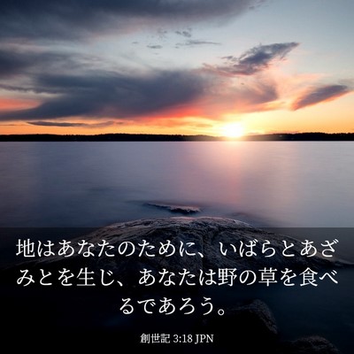 Picture 03 - 創世記 3:18 JPN - 地はあなたのために、いばらとあざ - Bible Verse Picture