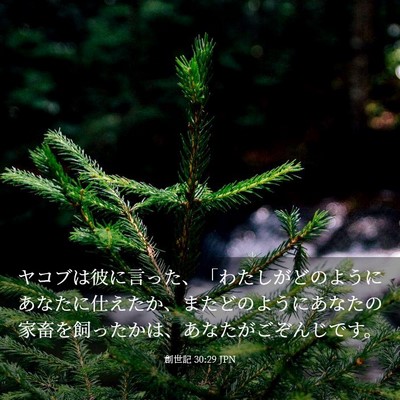 Picture 03 - 創世記 30:29 JPN - ヤコブは彼に言った、「わたしがど - Bible Verse Picture