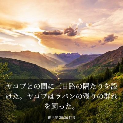 Picture 03 - 創世記 30:36 JPN - ヤコブとの間に三日路の隔たりを設 - Bible Verse Picture