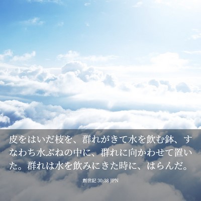 Picture 03 - 創世記 30:38 JPN - 皮をはいだ枝を、群れがきて水を飲 - Bible Verse Picture