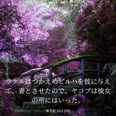 Picture 03 - 創世記 30:4 JPN - ラケルはつかえめビルハを彼に与え - Bible Verse Picture