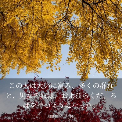 Picture 03 - 創世記 30:43 JPN - この人は大いに富み、多くの群れと - Bible Verse Picture
