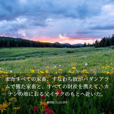 Picture 03 - 創世記 31:18 JPN - またすべての家畜、すなわち彼がパ - Bible Verse Picture