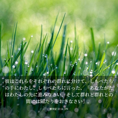 Picture 03 - 創世記 32:16 JPN - 彼はこれらをそれぞれの群れに分け - Bible Verse Picture