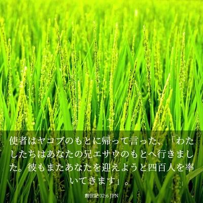 Picture 03 - 創世記 32:6 JPN - 使者はヤコブのもとに帰って言った - Bible Verse Picture