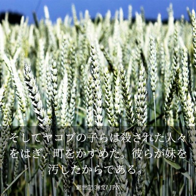 Picture 03 - 創世記 34:27 JPN - そしてヤコブの子らは殺された人々 - Bible Verse Picture