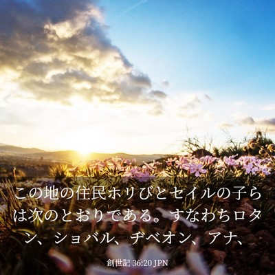 Picture 03 - 創世記 36:20 JPN - この地の住民ホリびとセイルの子ら - Bible Verse Picture