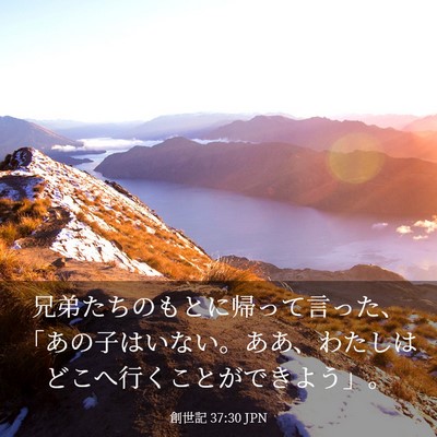 Picture 03 - 創世記 37:30 JPN - 兄弟たちのもとに帰って言った、「 - Bible Verse Picture