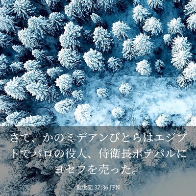 Picture 03 - 創世記 37:36 JPN - さて、かのミデアンびとらはエジプ - Bible Verse Picture
