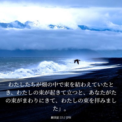 Picture 03 - 創世記 37:7 JPN - わたしたちが畑の中で束を結わえて - Bible Verse Picture
