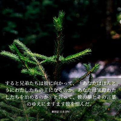 Picture 03 - 創世記 37:8 JPN - すると兄弟たちは彼に向かって、「 - Bible Verse Picture