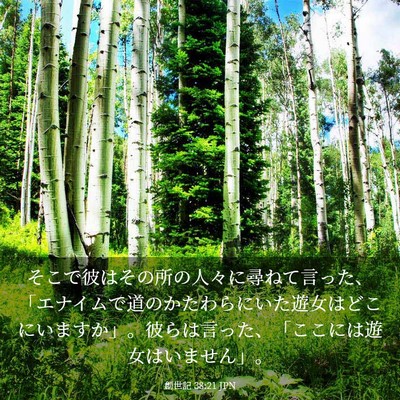 Picture 03 - 創世記 38:21 JPN - そこで彼はその所の人々に尋ねて言 - Bible Verse Picture
