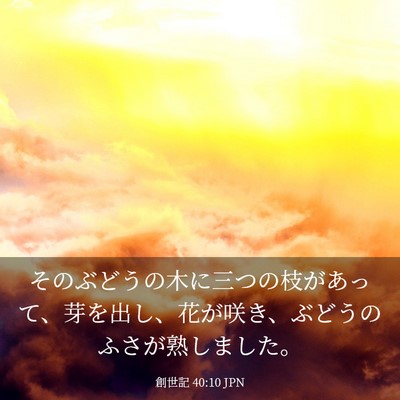 Picture 03 - 創世記 40:10 JPN - そのぶどうの木に三つの枝があって - Bible Verse Picture