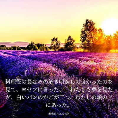Picture 03 - 創世記 40:16 JPN - 料理役の長はその解き明かしの良か - Bible Verse Picture