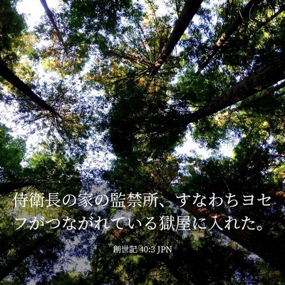 Picture 03 - 創世記 40:3 JPN - 侍衛長の家の監禁所、すなわちヨセ - Bible Verse Picture