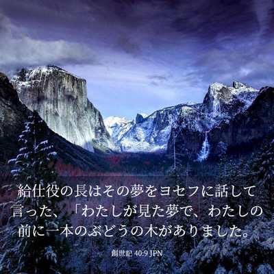 Picture 03 - 創世記 40:9 JPN - 給仕役の長はその夢をヨセフに話し - Bible Verse Picture