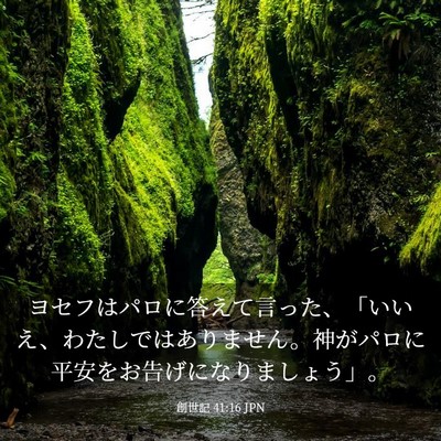 Picture 03 - 創世記 41:16 JPN - ヨセフはパロに答えて言った、「い - Bible Verse Picture
