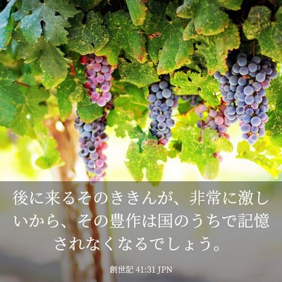 Picture 03 - 創世記 41:31 JPN - 後に来るそのききんが、非常に激し - Bible Verse Picture