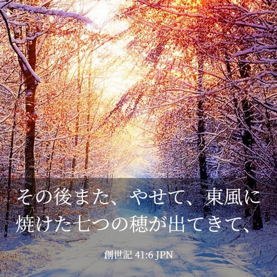 Picture 03 - 創世記 41:6 JPN - その後また、やせて、東風に焼けた - Bible Verse Picture