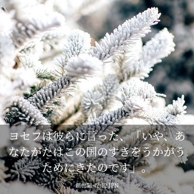 Picture 03 - 創世記 42:12 JPN - ヨセフは彼らに言った、「いや、あ - Bible Verse Picture