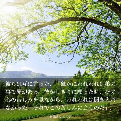 Picture 03 - 創世記 42:21 JPN - 彼らは互に言った、「確かにわれわ - Bible Verse Picture