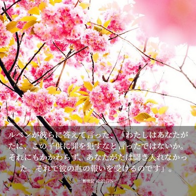 Picture 03 - 創世記 42:22 JPN - ルベンが彼らに答えて言った、「わ - Bible Verse Picture