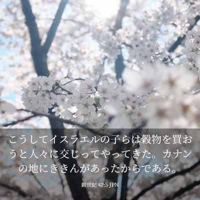 Picture 03 - 創世記 42:5 JPN - こうしてイスラエルの子らは穀物を - Bible Verse Picture
