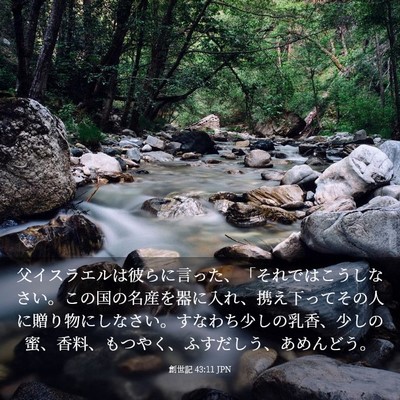 Picture 03 - 創世記 43:11 JPN - 父イスラエルは彼らに言った、「そ - Bible Verse Picture