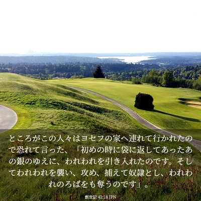 Picture 03 - 創世記 43:18 JPN - ところがこの人々はヨセフの家へ連 - Bible Verse Picture