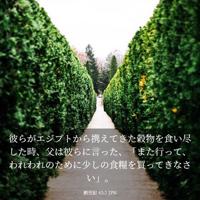 Picture 03 - 創世記 43:2 JPN - 彼らがエジプトから携えてきた穀物 - Bible Verse Picture