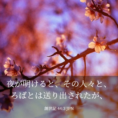 Picture 03 - 創世記 44:3 JPN - 夜が明けると、その人々と、ろばと - Bible Verse Picture