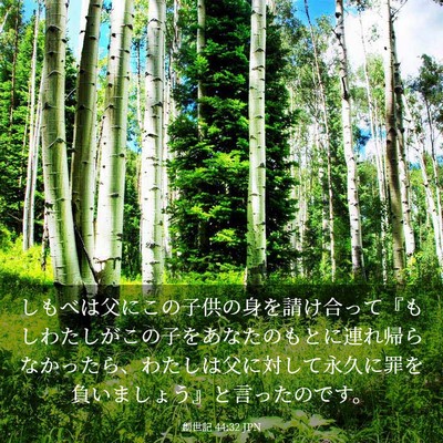 Picture 03 - 創世記 44:32 JPN - しもべは父にこの子供の身を請け合 - Bible Verse Picture
