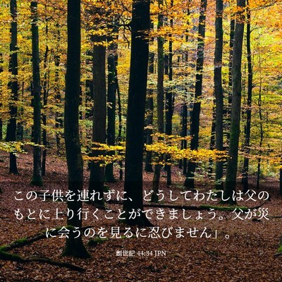 Picture 03 - 創世記 44:34 JPN - この子供を連れずに、どうしてわた - Bible Verse Picture