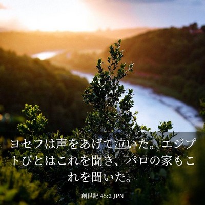 Picture 03 - 創世記 45:2 JPN - ヨセフは声をあげて泣いた。エジプ - Bible Verse Picture
