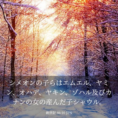 Picture 03 - 創世記 46:10 JPN - シメオンの子らはエムエル、ヤミン - Bible Verse Picture