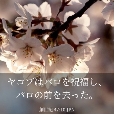 Picture 03 - 創世記 47:10 JPN - ヤコブはパロを祝福し、パロの前を - Bible Verse Picture