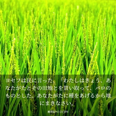 Picture 03 - 創世記 47:23 JPN - ヨセフは民に言った、「わたしはき - Bible Verse Picture