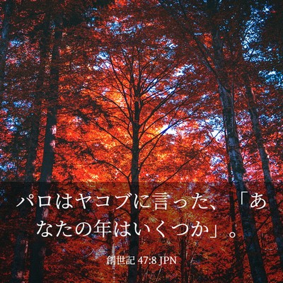 Picture 03 - 創世記 47:8 JPN - パロはヤコブに言った、「あなたの - Bible Verse Picture