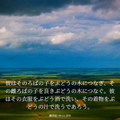 Picture 03 - 創世記 49:11 JPN - 彼はそのろばの子をぶどうの木につ - Bible Verse Picture