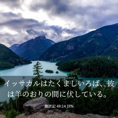 Picture 03 - 創世記 49:14 JPN - イッサカルはたくましいろば、彼は - Bible Verse Picture