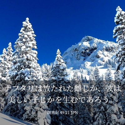 Picture 03 - 創世記 49:21 JPN - ナフタリは放たれた雌じか、彼は美 - Bible Verse Picture