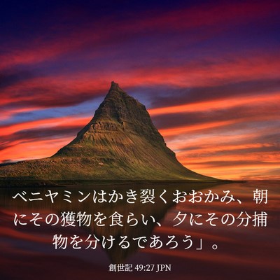 Picture 03 - 創世記 49:27 JPN - ベニヤミンはかき裂くおおかみ、朝 - Bible Verse Picture