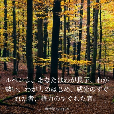 Picture 03 - 創世記 49:3 JPN - ルベンよ、あなたはわが長子、わが - Bible Verse Picture