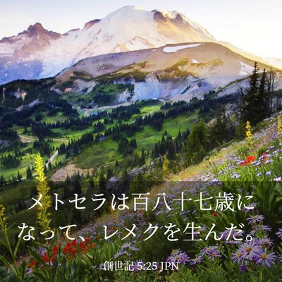 Picture 03 - 創世記 5:25 JPN - メトセラは百八十七歳になって、レ - Bible Verse Picture
