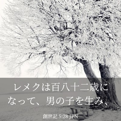Picture 03 - 創世記 5:28 JPN - レメクは百八十二歳になって、男の - Bible Verse Picture