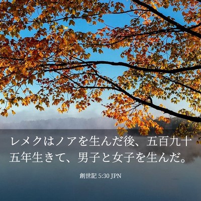 Picture 03 - 創世記 5:30 JPN - レメクはノアを生んだ後、五百九十 - Bible Verse Picture