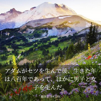 Picture 03 - 創世記 5:4 JPN - アダムがセツを生んで後、生きた年 - Bible Verse Picture