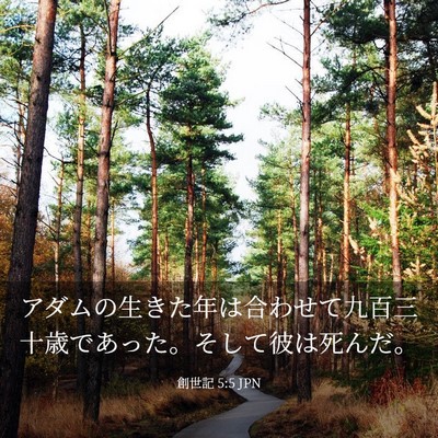Picture 03 - 創世記 5:5 JPN - アダムの生きた年は合わせて九百三 - Bible Verse Picture