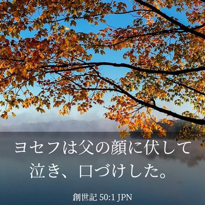 Picture 03 - 創世記 50:1 JPN - ヨセフは父の顔に伏して泣き、口づ - Bible Verse Picture