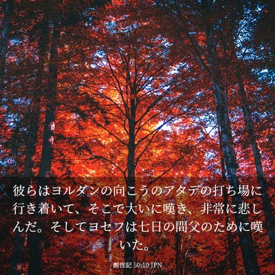 Picture 03 - 創世記 50:10 JPN - 彼らはヨルダンの向こうのアタデの - Bible Verse Picture